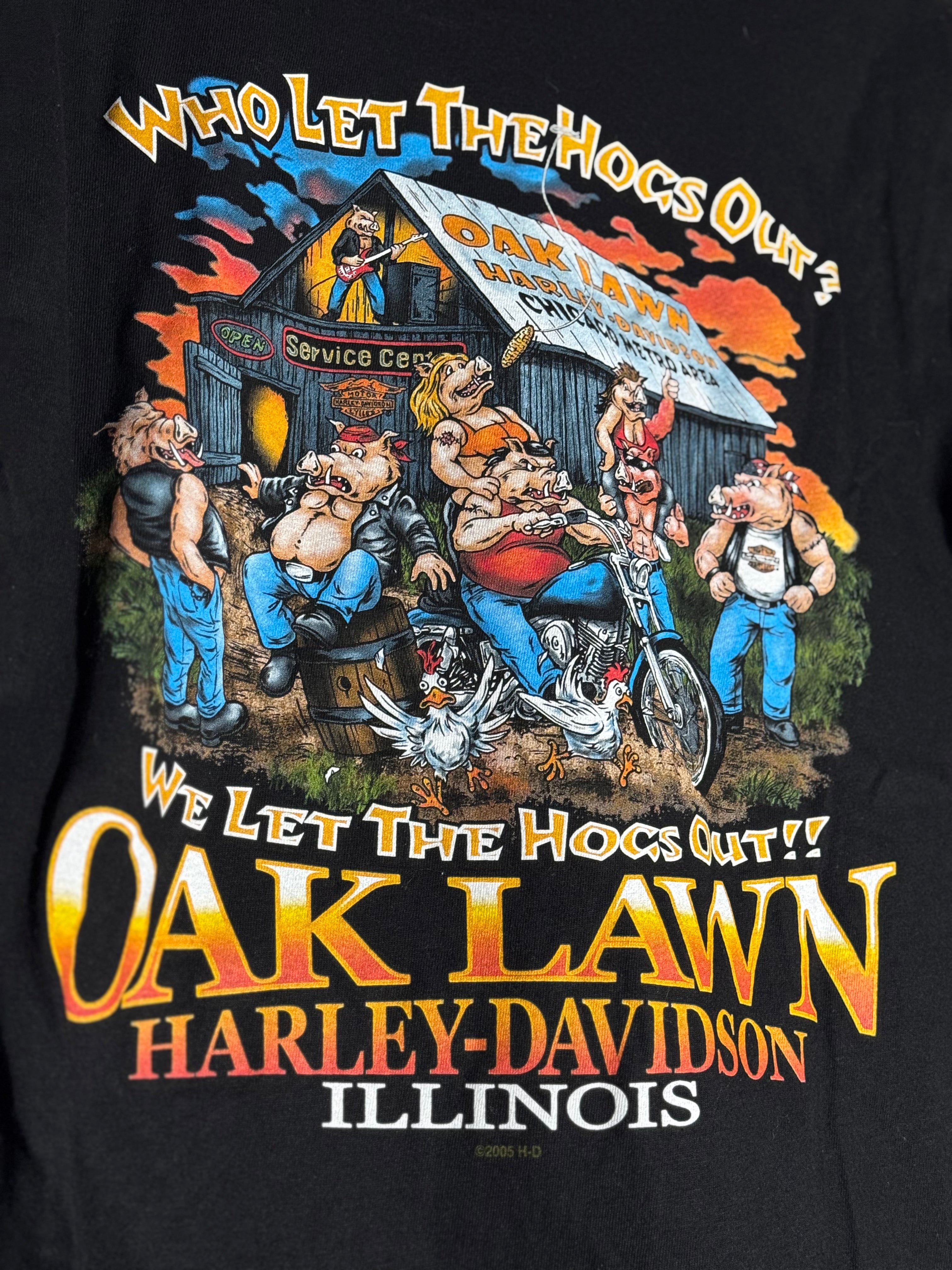 Vintage 2005 Harley Davidson Oak Lawn Illinois Shirt Size Small