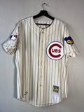(NEW) Mitchell & Ness Chicago Cubs Ernie Banks 1969 Jersey Size 44 Large