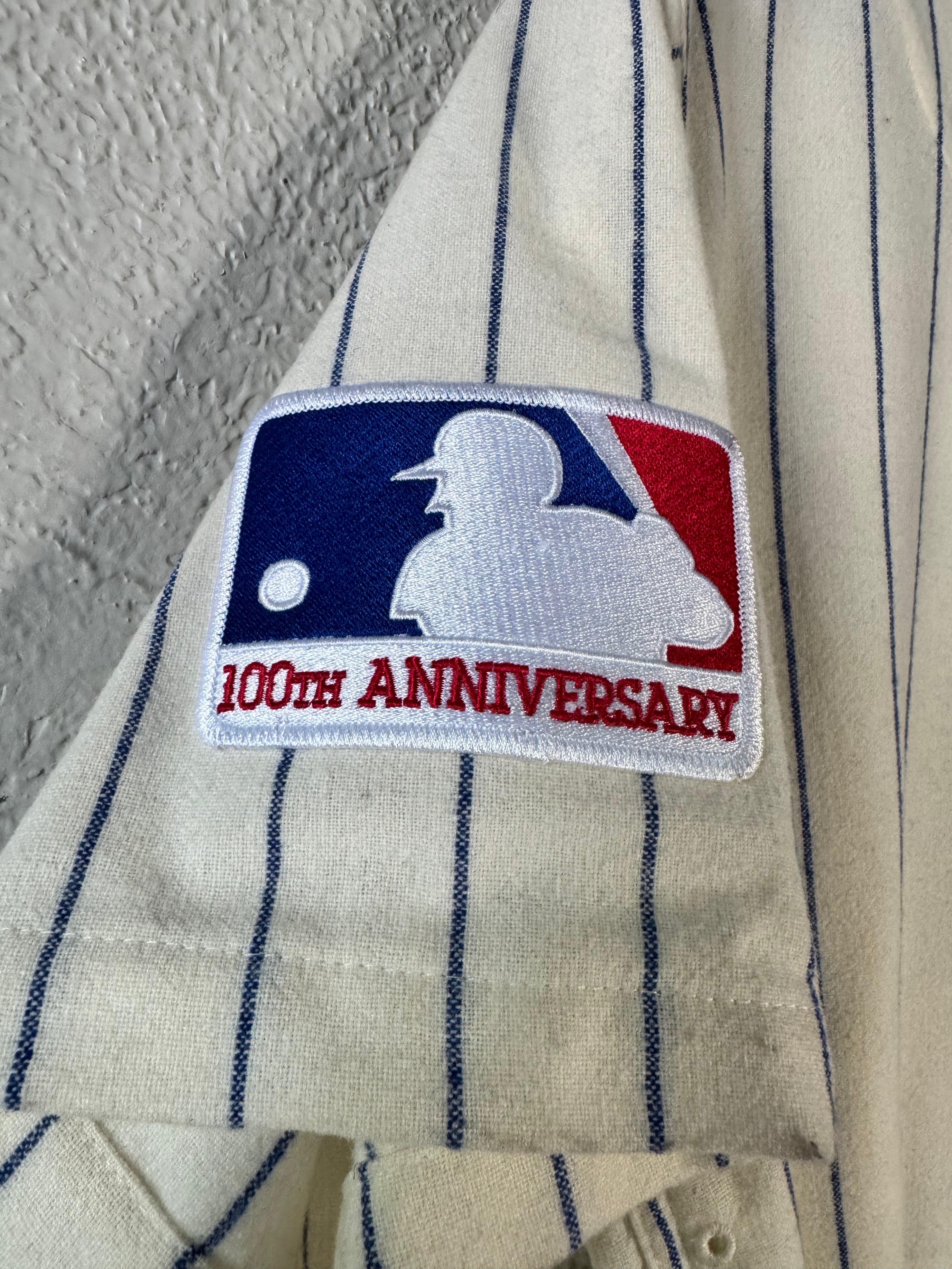 (NEW) Mitchell & Ness Chicago Cubs Ernie Banks 1969 Jersey Size 44 Large
