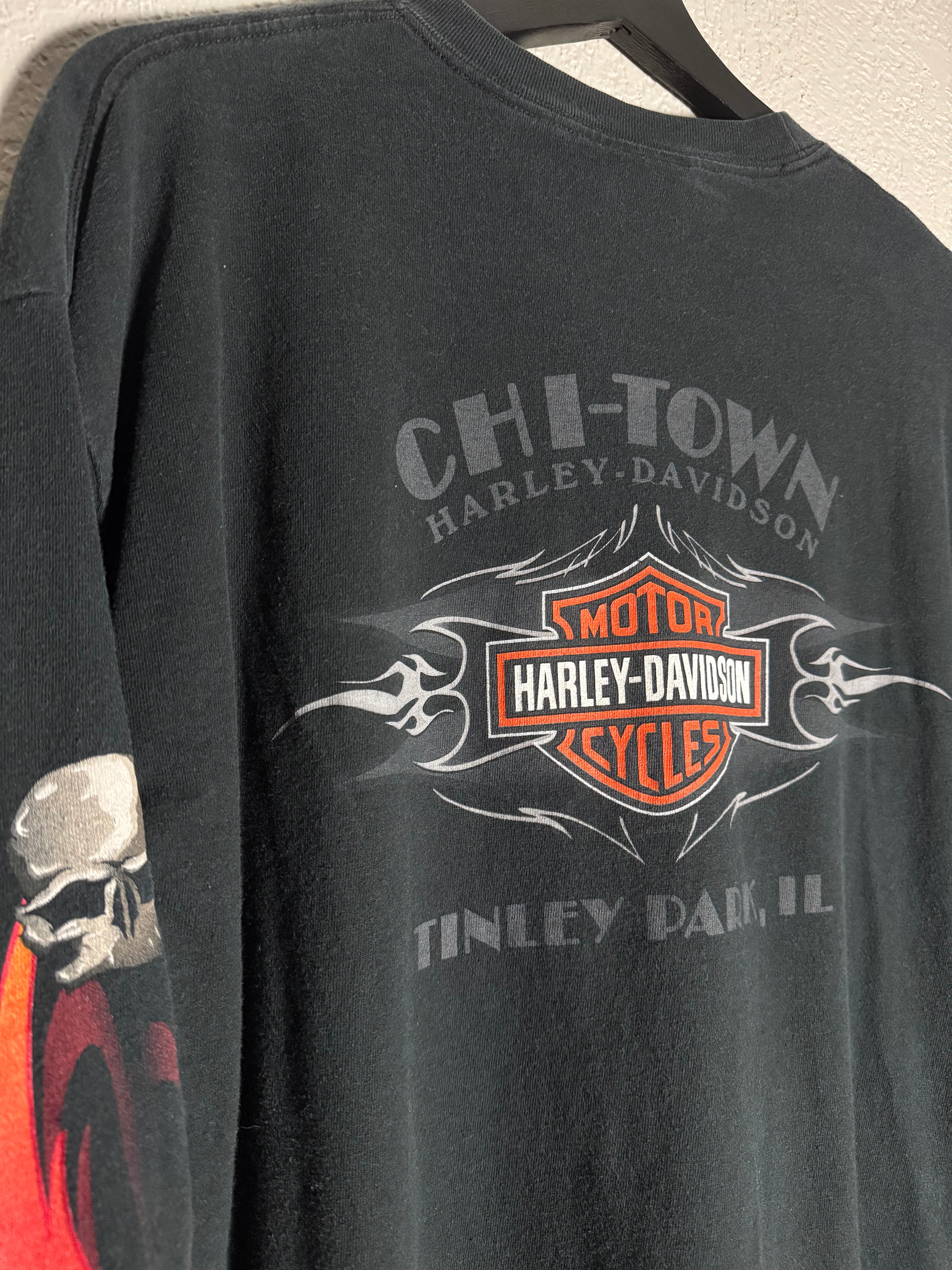 Vintage Harley Davidson 2005 Skull/Flames Long Sleeve Size XL