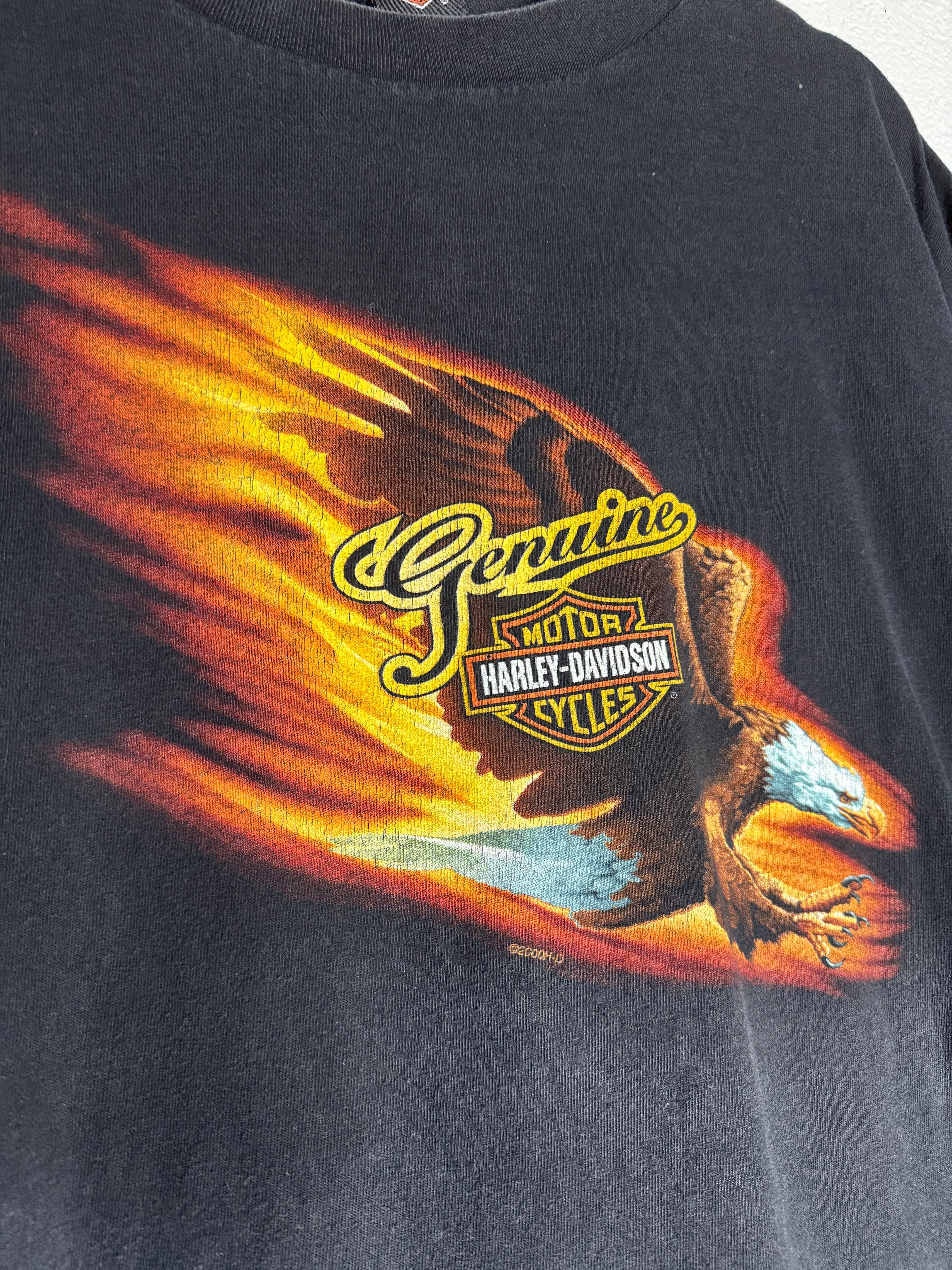 Vintage Harley Davidson 2000 Eagle/Flames Shirt Size XL